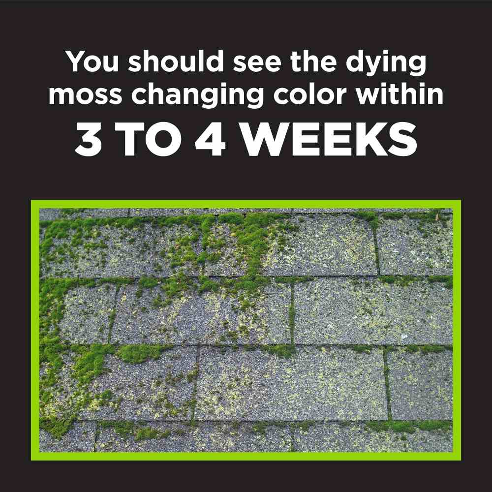corrys moss b ware